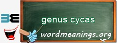 WordMeaning blackboard for genus cycas